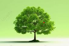 Annotation 2025 04 11 095228